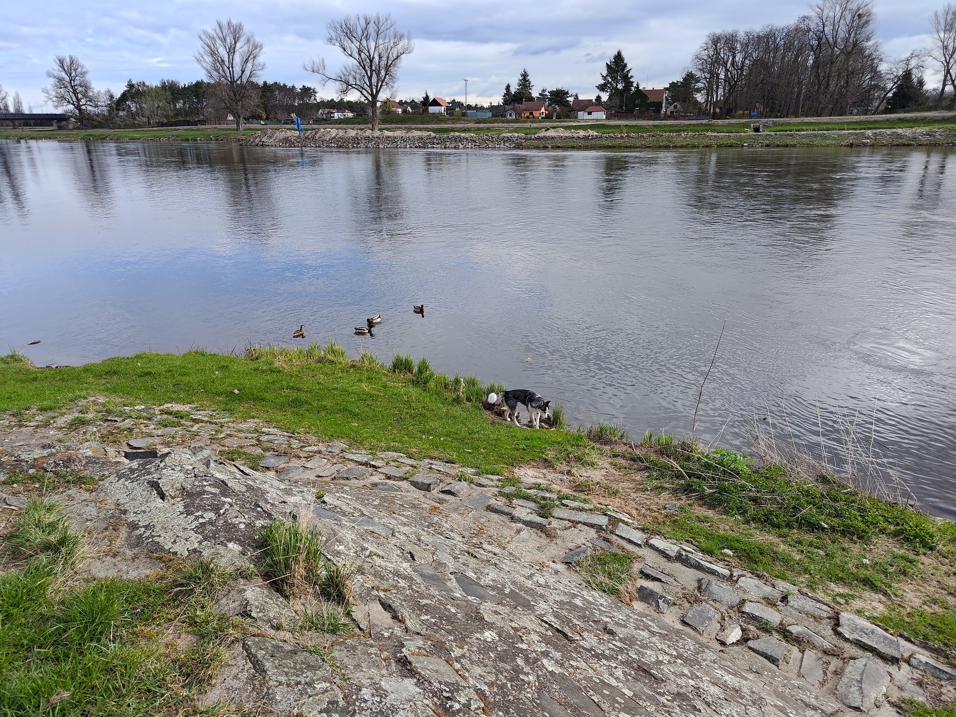 ASUS ZenFone 11 Ultra