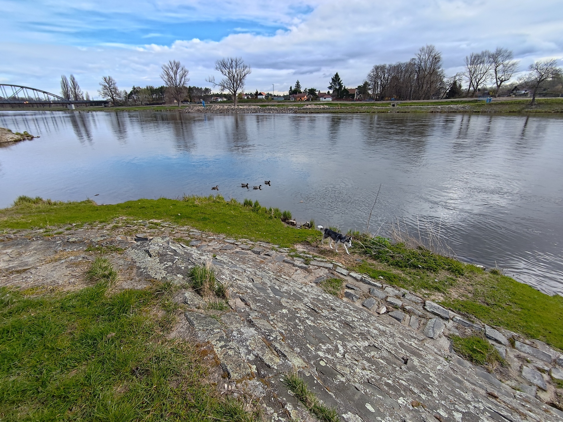 ASUS ZenFone 11 Ultra