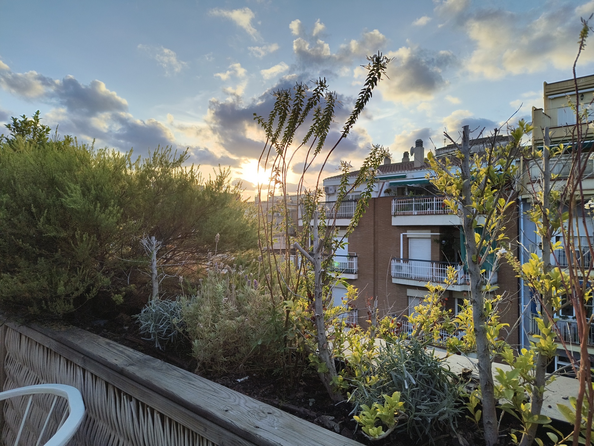 Motorola Edge 40 Neof