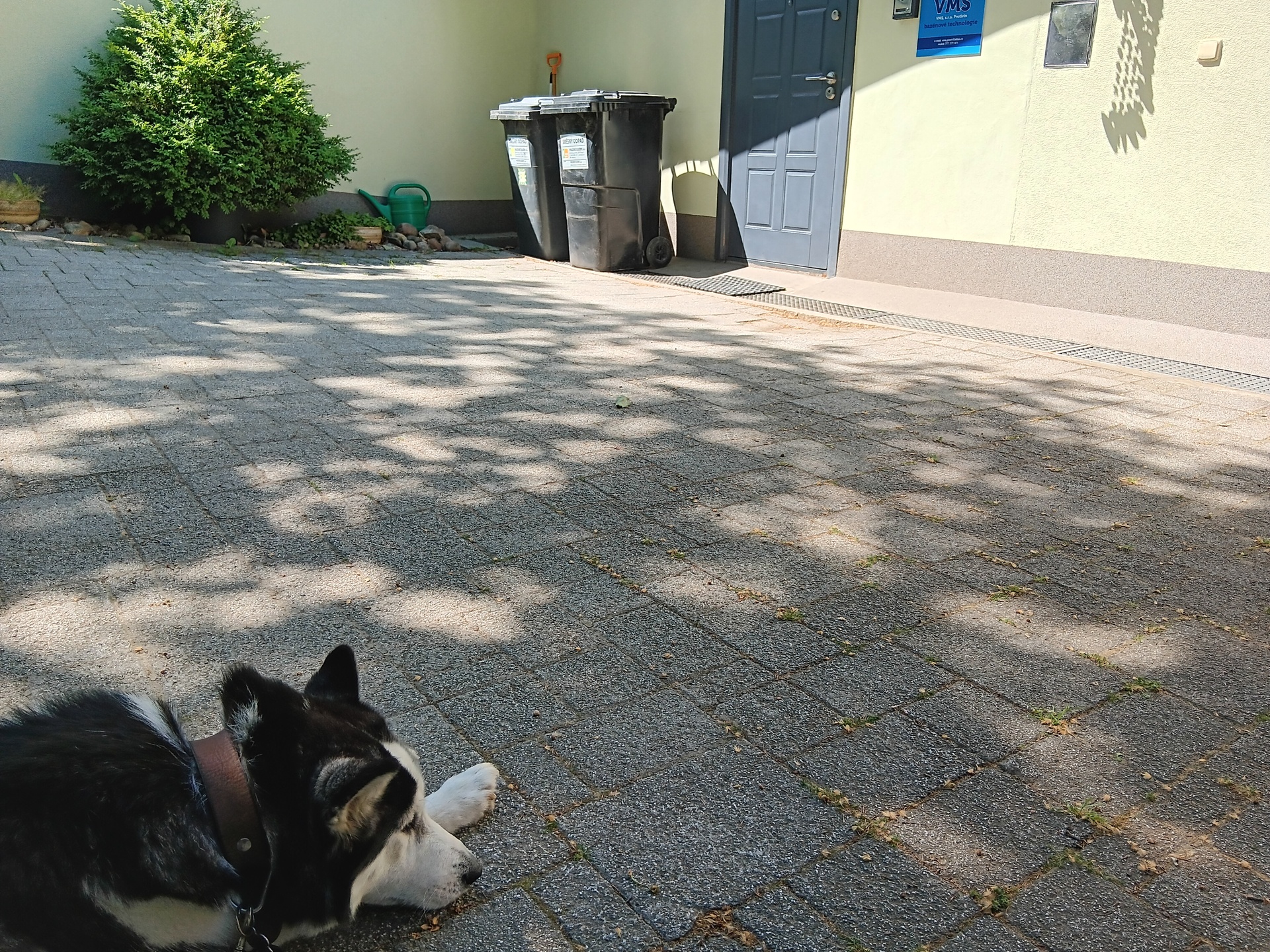 Samsung Galaxy A14 5G