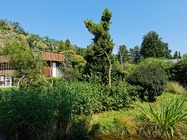 Samsung Galaxy Note20 Ultra 5G