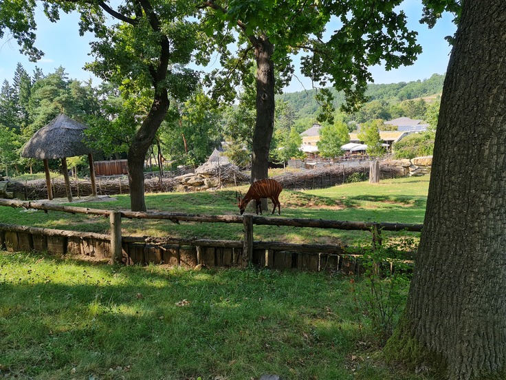 Samsung Galaxy Note20 Ultra 5G