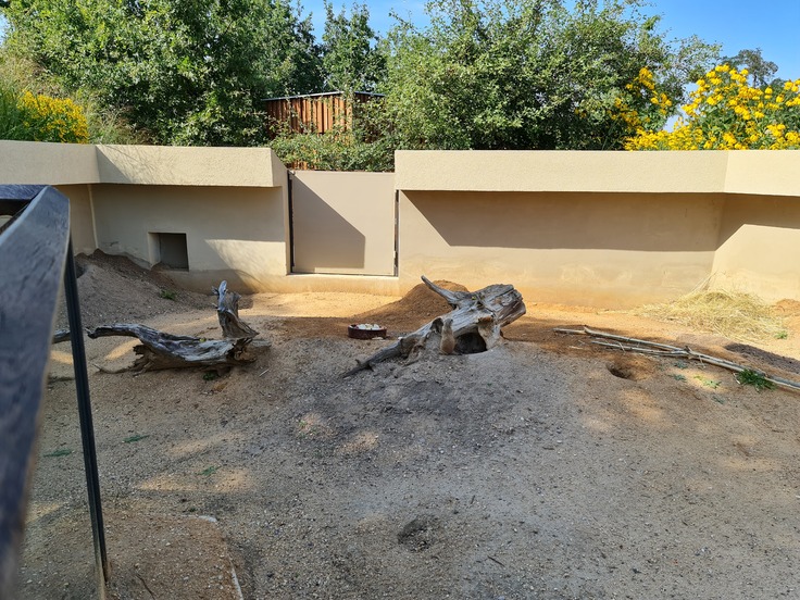 Samsung Galaxy Note20 Ultra 5G