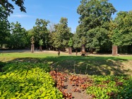 Samsung Galaxy Note20 Ultra 5G