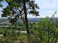 Samsung Galaxy Note20 Ultra 5G