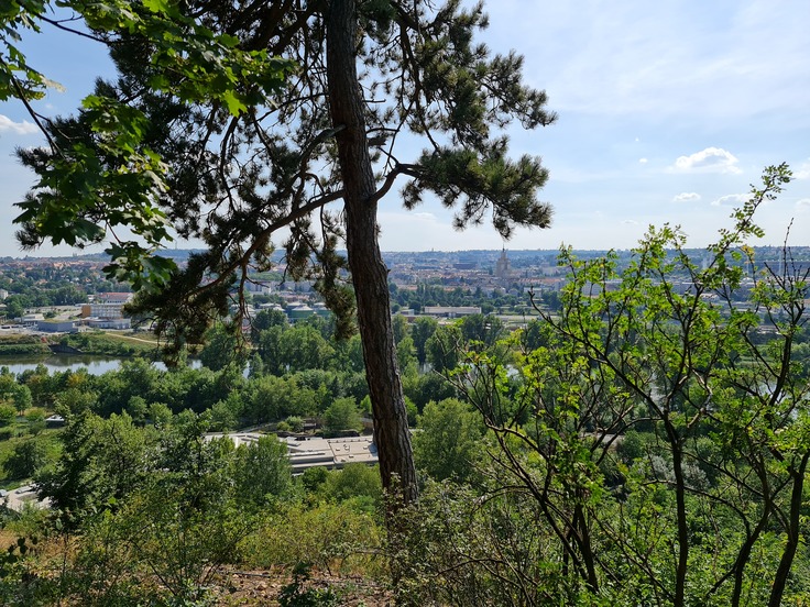 Samsung Galaxy Note20 Ultra 5G