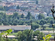 Samsung Galaxy Note20 Ultra 5G