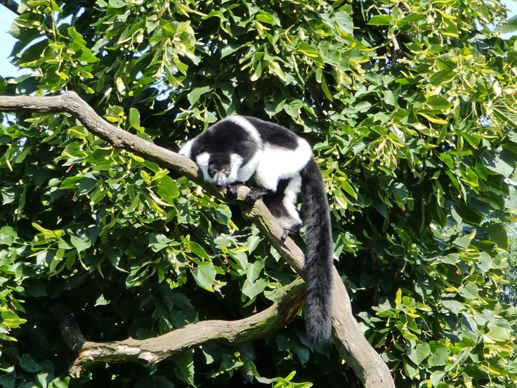 Samsung Galaxy Note20 Ultra 5G