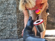 Samsung Galaxy Note20 Ultra 5G