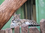 Samsung Galaxy Note20 Ultra 5G