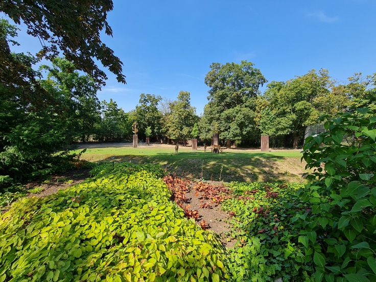 Samsung Galaxy Note20 Ultra 5G