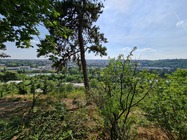 Samsung Galaxy Note20 Ultra 5G