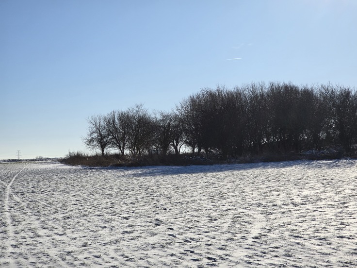 Samsung Galaxy S24 Ultra