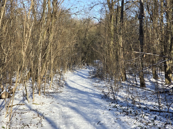 Samsung Galaxy S24 Ultra