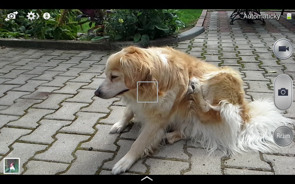 Samsung Galaxy Tab 3 (8.0)