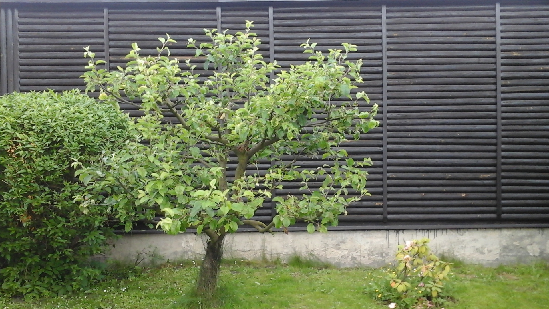 Samsung Galaxy Tab 4 8.0